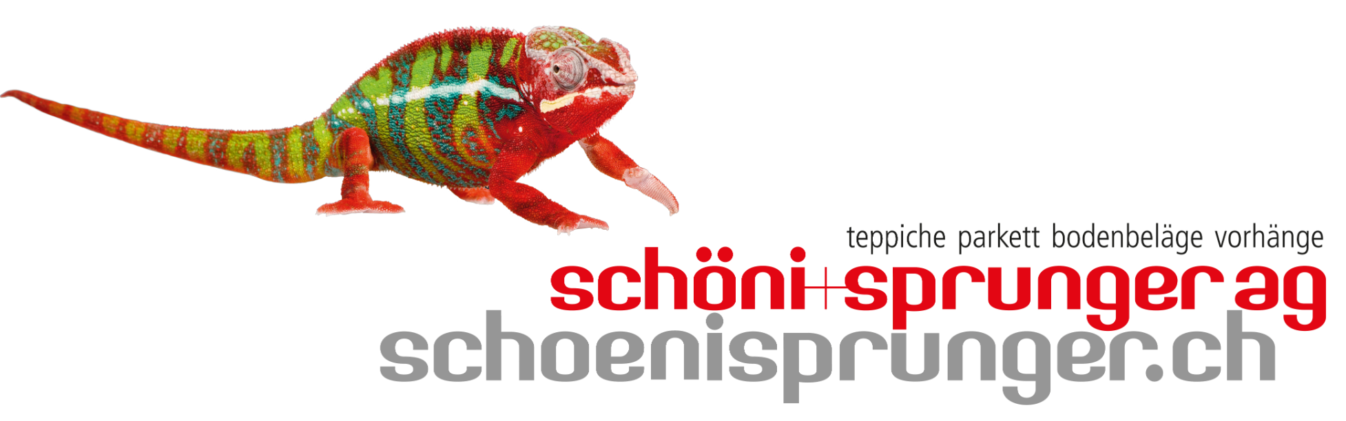 Schöni & Sprunger AG
